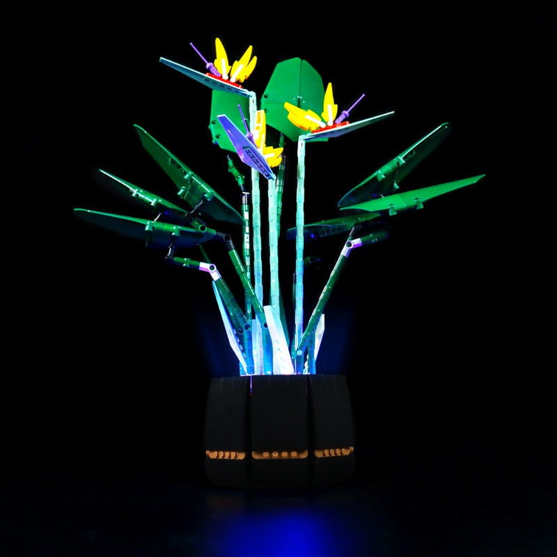 Bird of paradise building block set display example