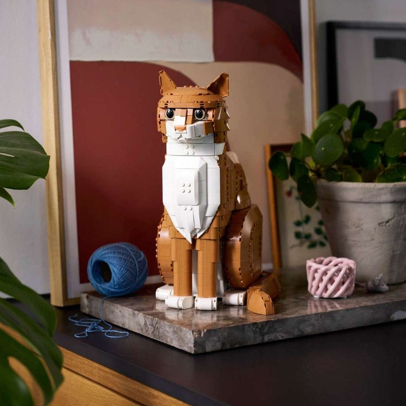 Close-up of cat building blocks