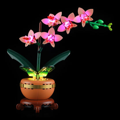 Orchid building block model shown with the LED lighting option