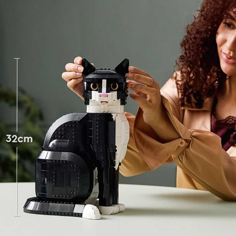Lit view of the cat display model
