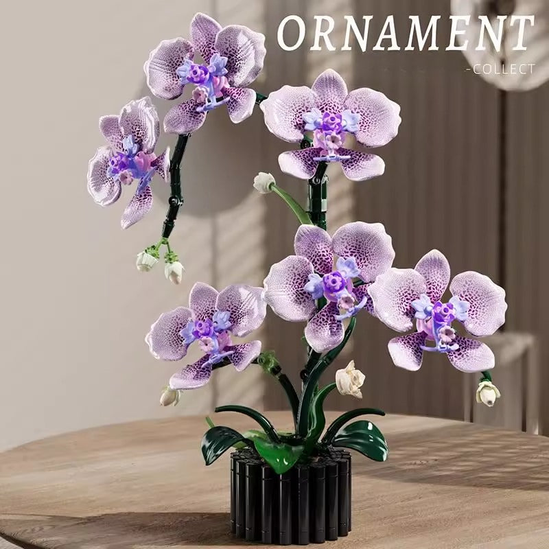 Phalaenopsis orchid building block set product view