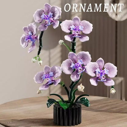 Phalaenopsis orchid building block set product view