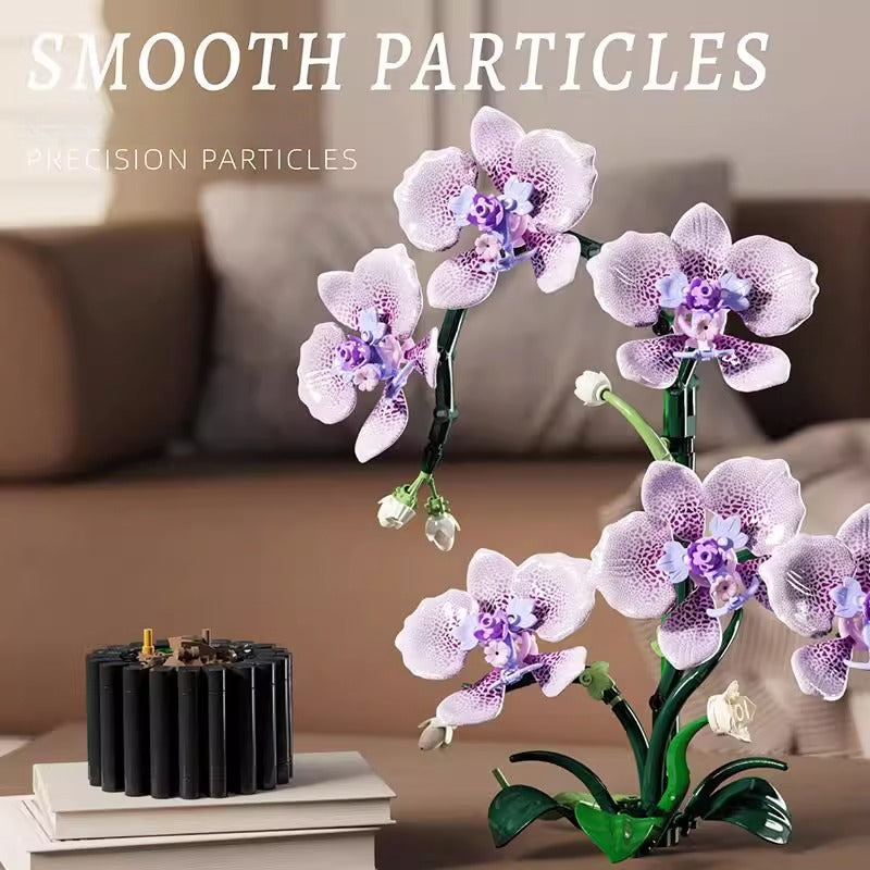 Phalaenopsis orchid building block set assembled display