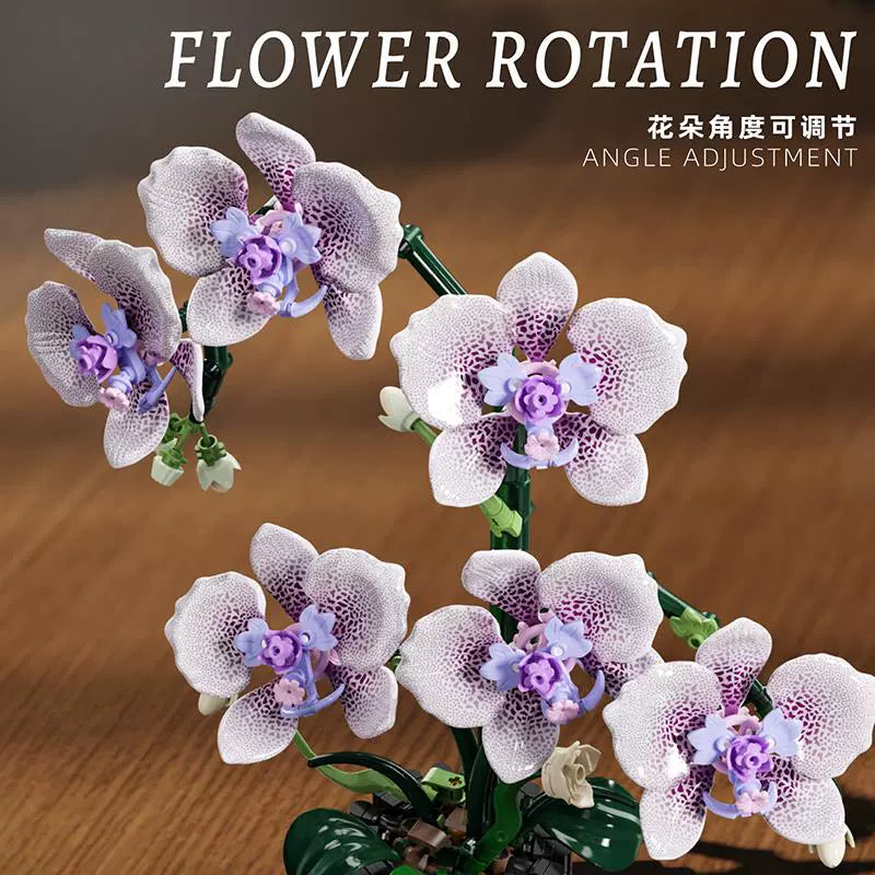 Phalaenopsis orchid building block set close-up detail view