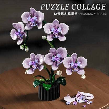 Phalaenopsis orchid building block set shown from another angle