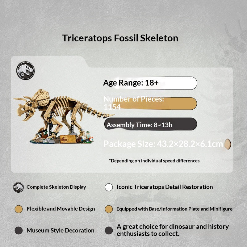 Fully assembled Triceratops fossil skeleton on display