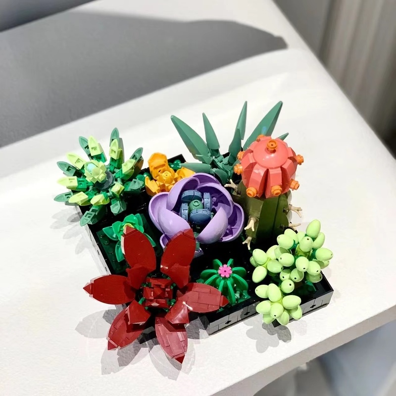 Succulents building block set, front view