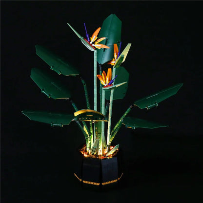 Bird of paradise build with LED lighting kit lit up