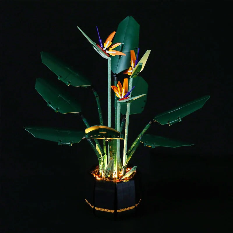 Bird of paradise building block set full model view