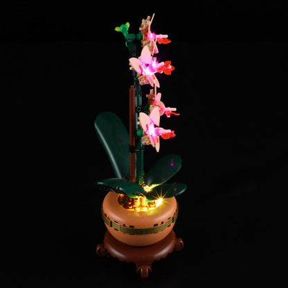 Brick-built orchid blooms and stems seen from the front
