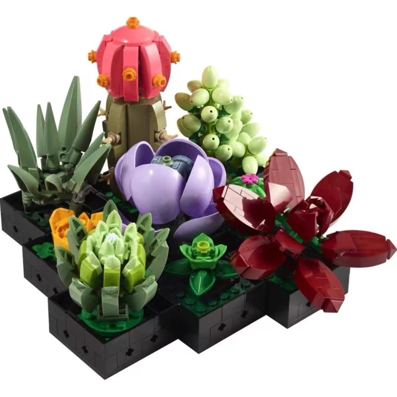Succulents building block set, close-up detail