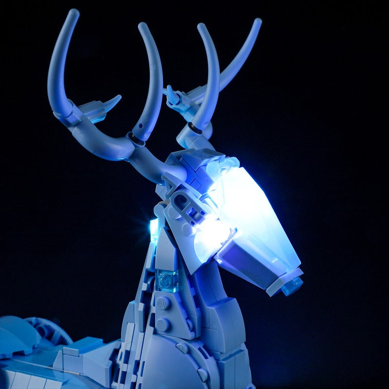 Magical display model, gallery photo 19