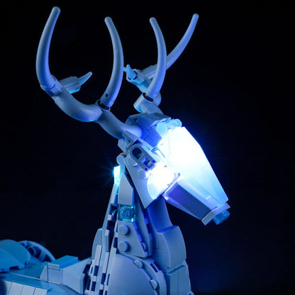Magical display model, gallery photo 19